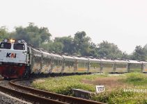Argo Wilis SS